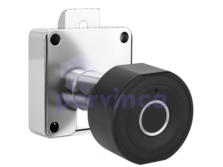 Fingerprint code lock