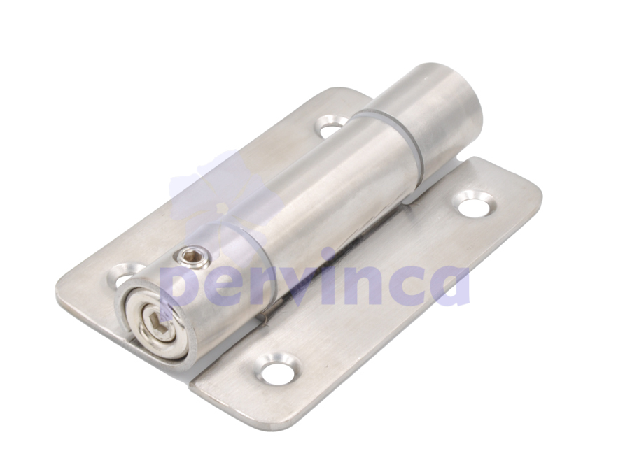 Door hinge with spring, SS